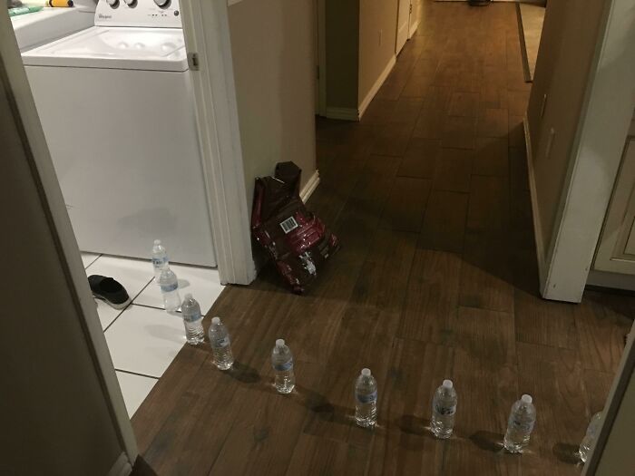 Water bottles lined up precisely across a hallway floor, demonstrating people doing exactly what they were asked to do.