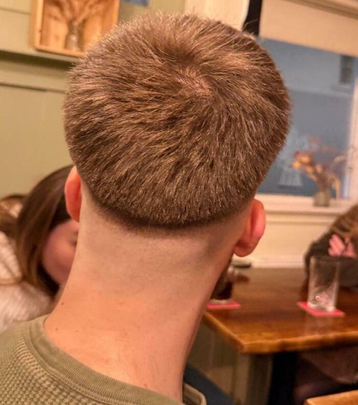 Back of a man's head showing a hilariously tragic hair accident with an uneven and awkward haircut style. Back of a man's head showing a hilariously tragic hair accident with an uneven and awkward haircut style.