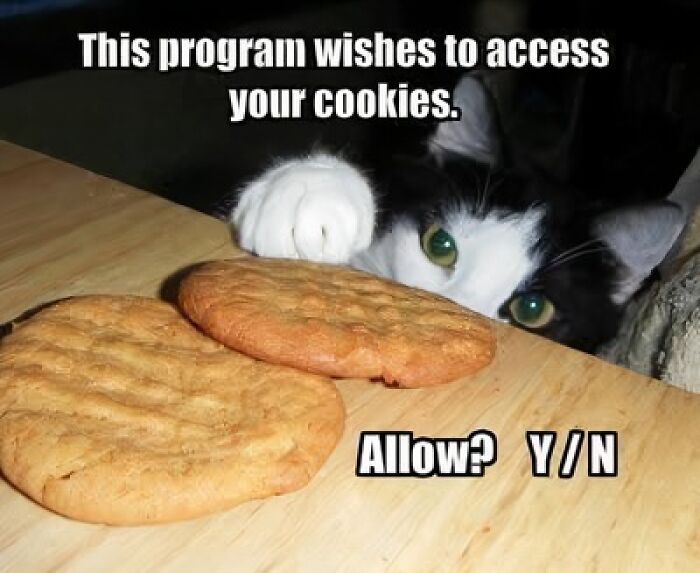 Cat reaching for cookies on a table with funny text asking to allow cookie access in a cute animal meme.