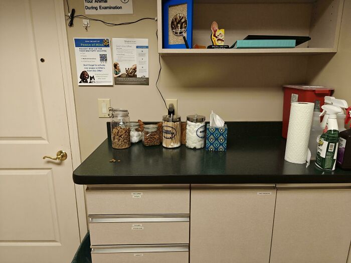 Brown cat camouflaged among jars of treats and supplies on a veterinarian clinic counter, blending in with the surroundings.