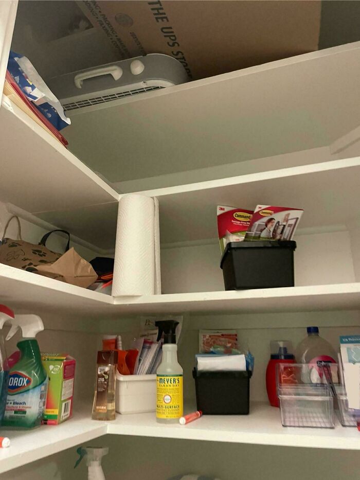 Closet shelves stocked with household cleaning products, paper towel, and hidden camouflaged cat blending with the background.