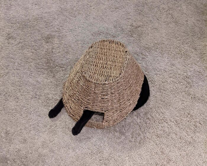 Black cat camouflaged under a wicker basket with only paws and tail visible on a beige carpet.