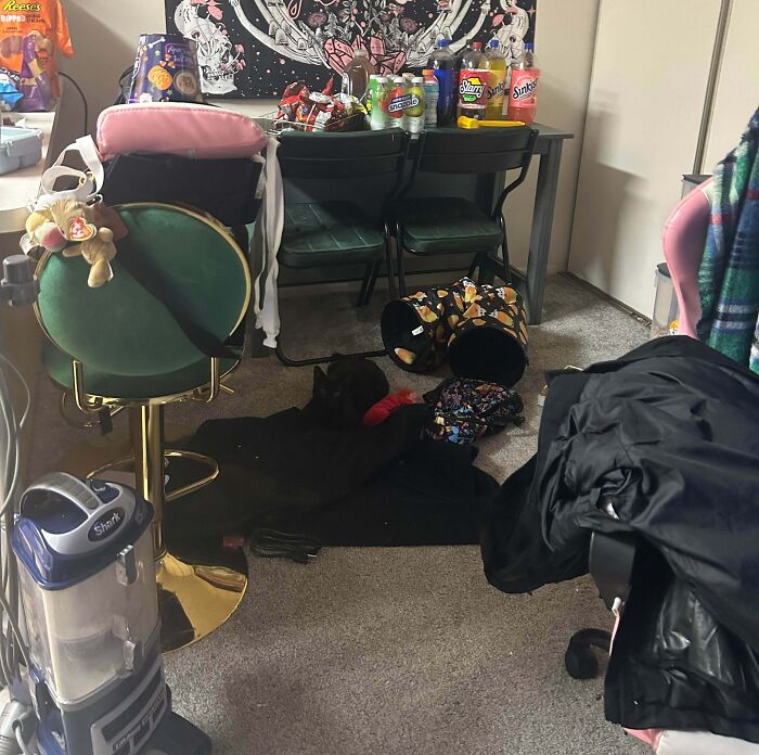 Black cat blending into a dark blanket on a carpeted floor in a cluttered room with chairs and snacks nearby.