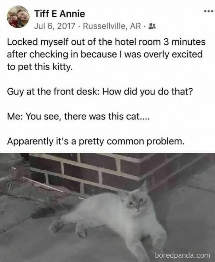 Funny and adorable animal meme featuring a cat causing a common problem by getting someone locked out of a hotel room.