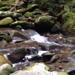 marshavandervort avatar