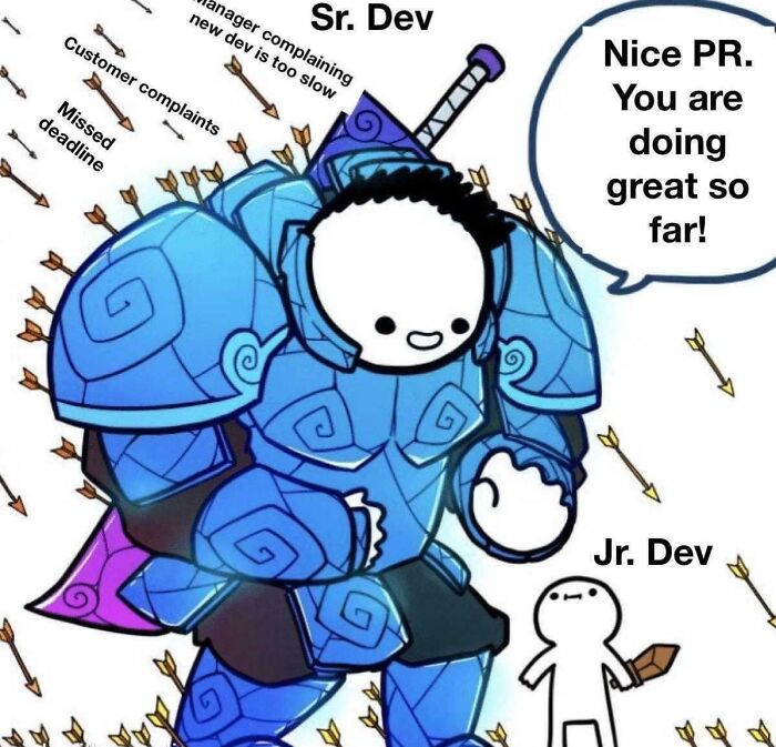 Cartoon senior developer in heavy armor shielding junior developer from arrows labeled programming and computer science complaints and deadlines.