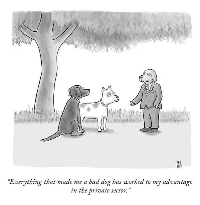 One-panel comic by Paul Noth showing dogs, with one in a suit talking about success in the private sector.