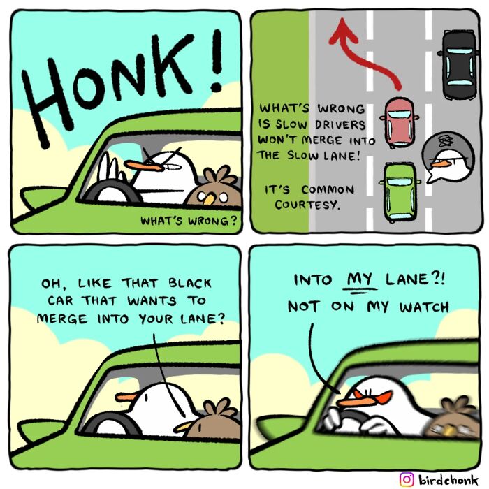 Comic panels showing birds in a car role-reversed, humorously depicting traffic and lane merging frustrations.