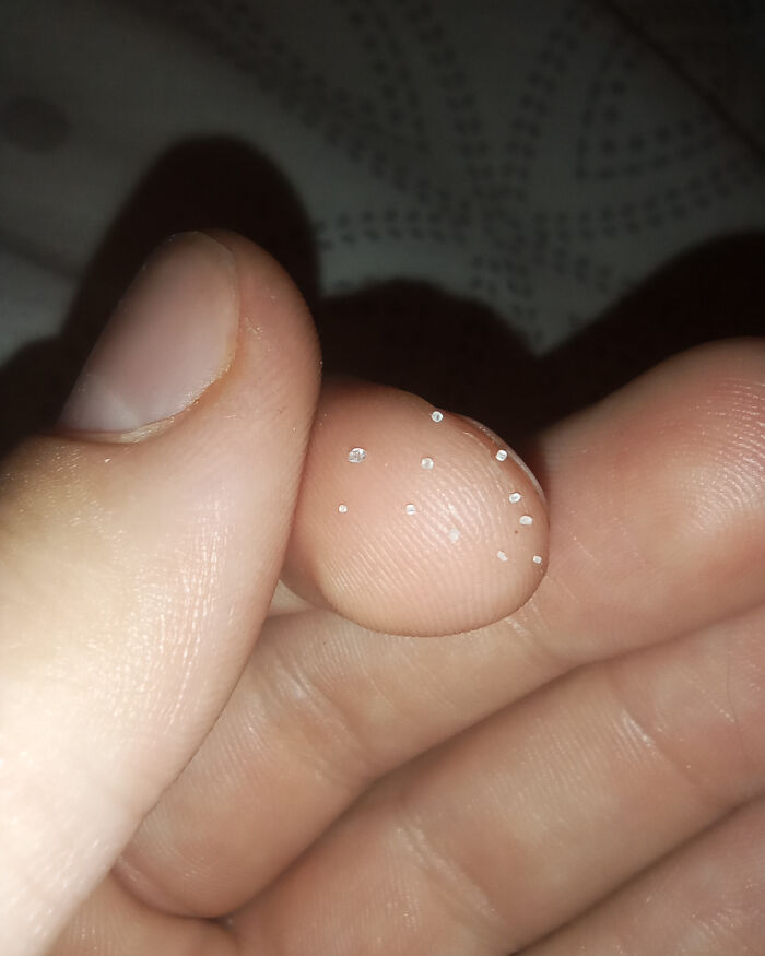 Close-up of fingers showing tiny plastic microbeads, illustrating moments people were infuriated with family members online.
