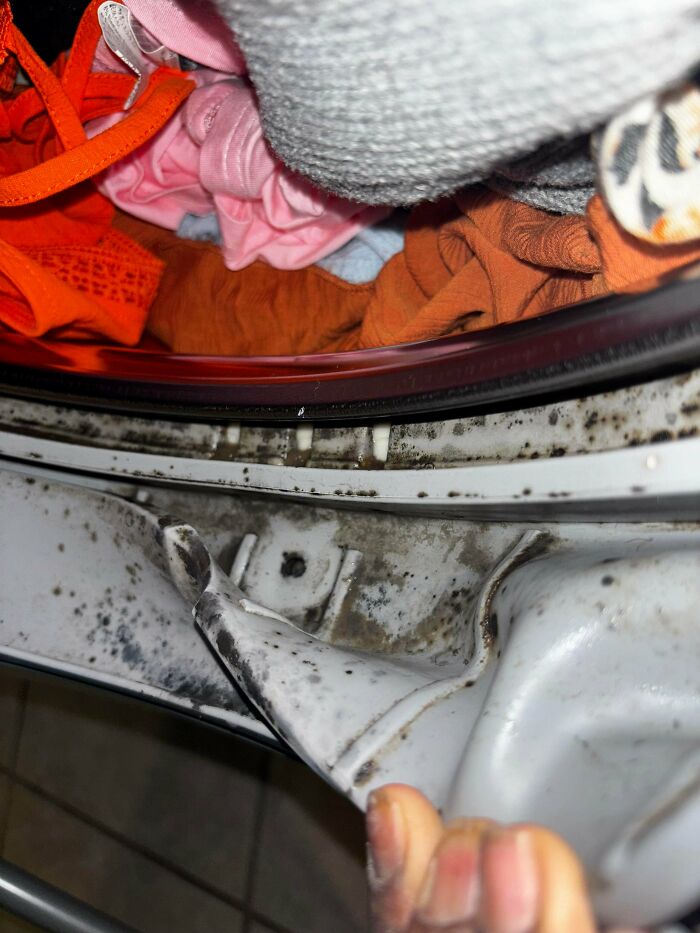 Mold and dirt buildup inside a washing machine drum with colorful clothes loaded, highlighting family frustration moments.