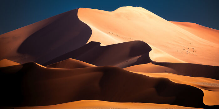Panoramic desert landscape with smooth sand dunes illuminated by golden light under a clear blue sky.