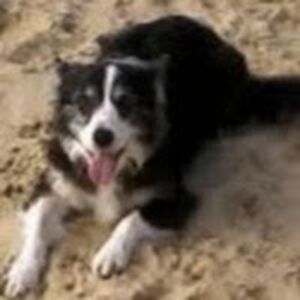 nataliesandon avatar