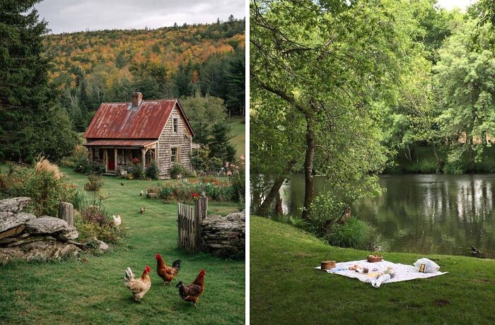 Rustic dream cottages surrounded by lush gardens with chickens and a serene picnic spot by the peaceful riverside.