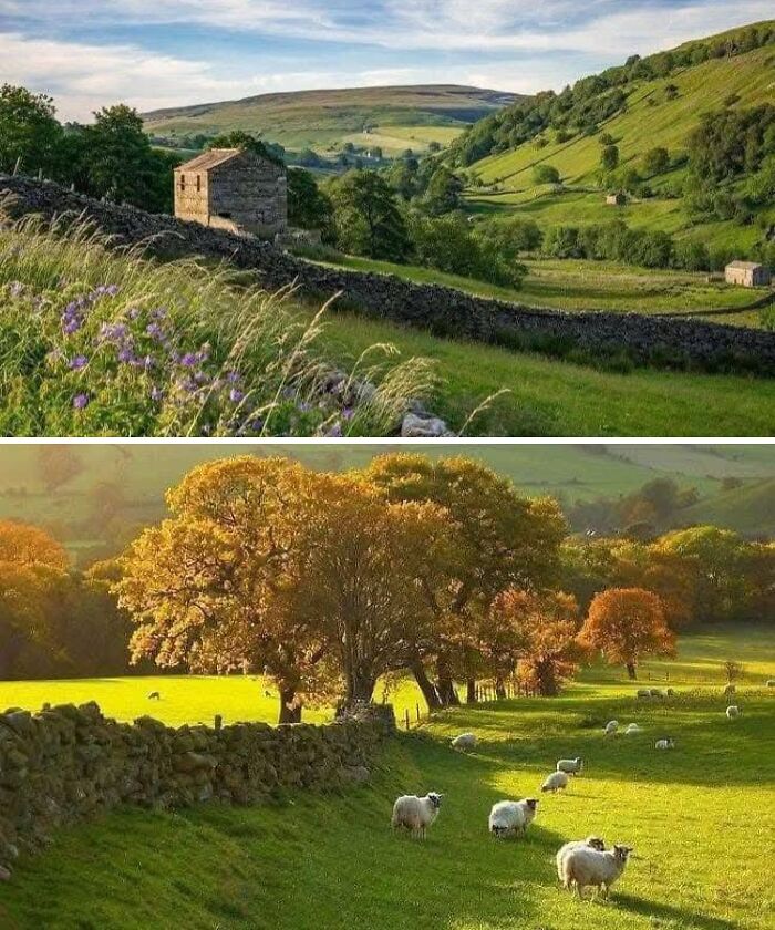 Scenic dream cottages and gardens in lush green countryside with stone walls, wildflowers, and grazing sheep at sunset.