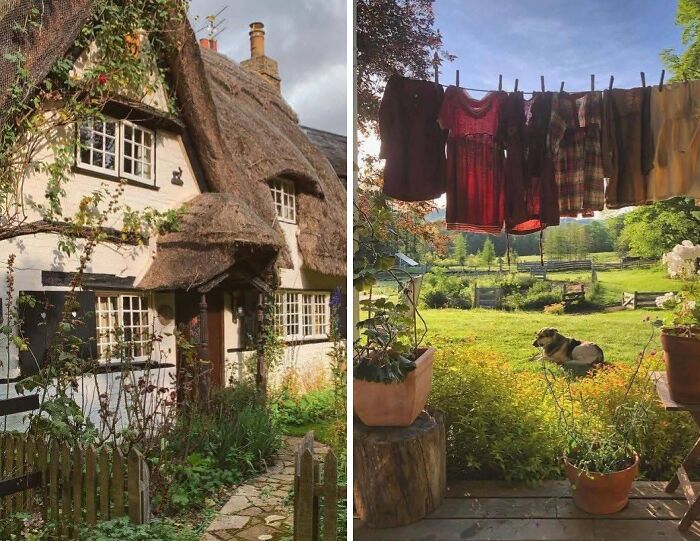 Cozy dream cottages with thatched roofs and lush gardens bathed in warm sunlight, evoking idyllic rural life.