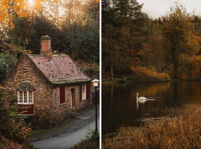 Stone dream cottage surrounded by autumn trees next to a peaceful garden pond with a swan swimming at sunset.
