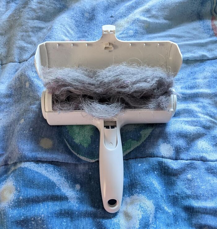  Your Furniture Will Shed Its Furry Winter Coat In Seconds With A Few Swipes Of This Chomchom Roller 