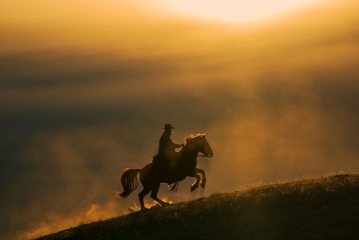 Silhouette of a rider on horseback at sunset capturing the essence of nature's best photography finals.