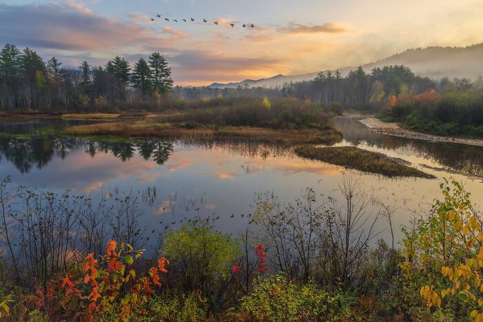 Calm river landscape with colorful trees and flying birds at sunrise, showcasing stunning images from nature photography finals. Calm river landscape with colorful trees and flying birds at sunrise, showcasing stunning images from nature photography finals.