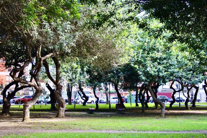 I Visited San Borja Sur Park In Lima, Peru With My Sisters, And Here Are The Highlights From Our Trip