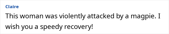 Comment text showing concern for a woman knocked unconscious by a bird and mentioning her recovery wishes. Comment text showing concern for a woman knocked unconscious by a bird and mentioning her recovery wishes.