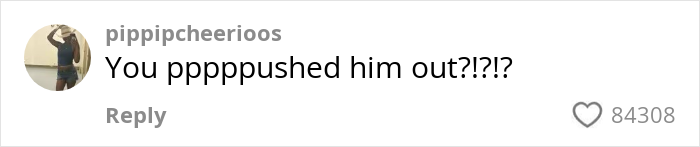 Comment on social media post reading you ppppushes him out with 84308 likes and user handle pippipcheerioos.