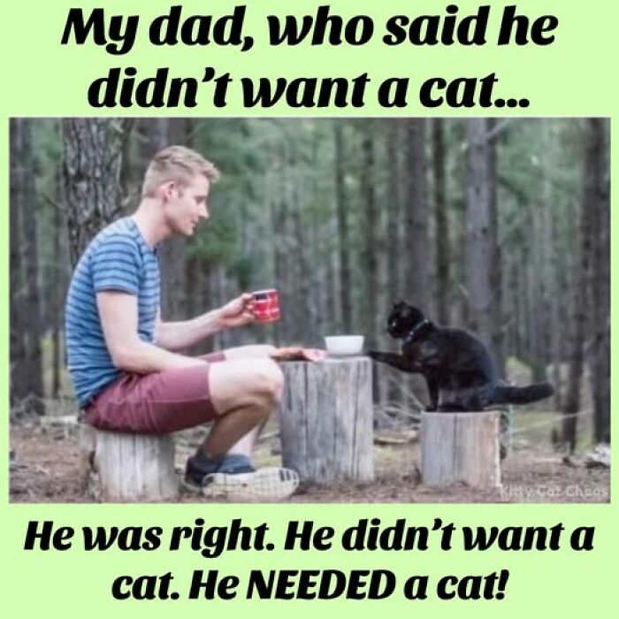 Man holding a mug sitting outside with a black cat reaching out paw, showing cat meme therapy joy and comfort.