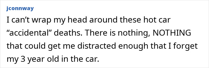 Comment expressing disbelief over hot car deaths and the dangers of forgetting a child inside a vehicle. Comment expressing disbelief over hot car deaths and the dangers of forgetting a child inside a vehicle.