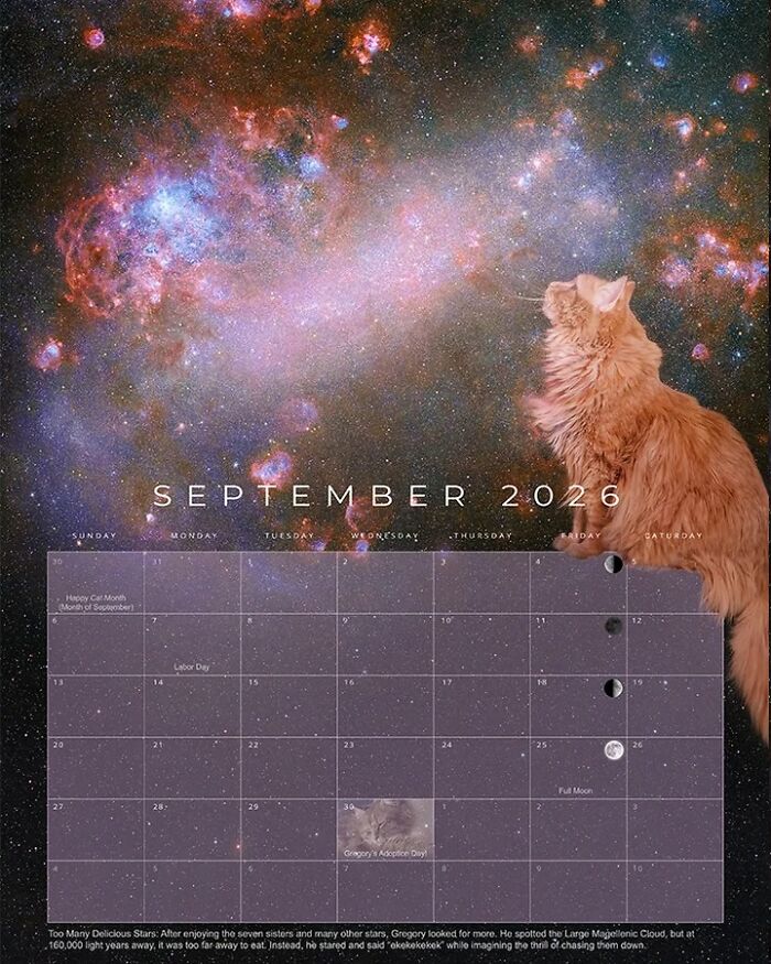 Orange rescue cat looking at a cosmic space background on the September 2026 feline space calendar page.