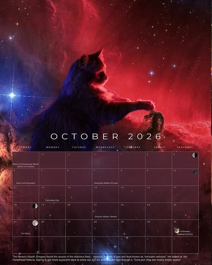 Cosmic rescue cat poses among stars in astrophotographer's 2026 feline space calendar for cosmic superstar theme.