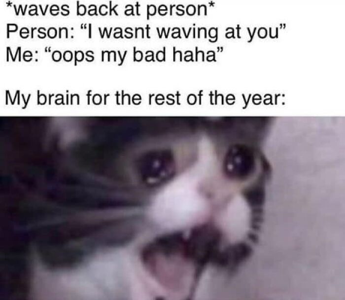 Cat meme therapy featuring a wide-eyed cat with an open mouth, expressing a humorous social awkwardness moment.