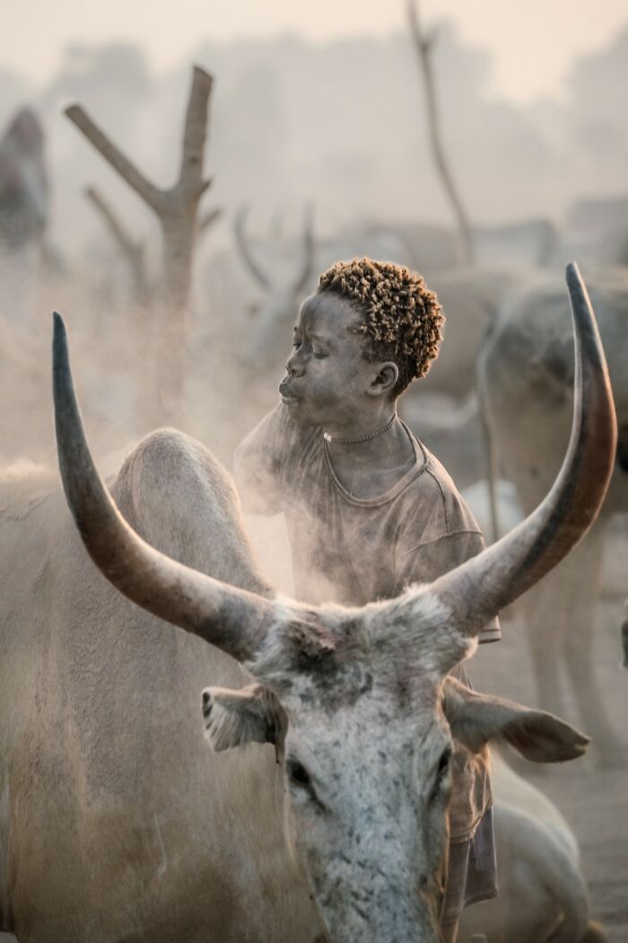 Photographer walking with camera among sheep in a misty landscape, capturing award-winning photos for 2025 contest.