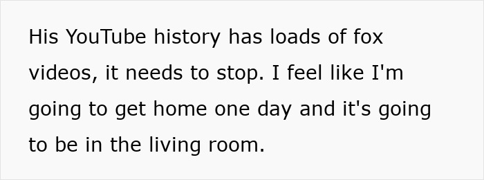 Text on a white background stating a concern about a man's YouTube history filled with fox videos related to his pet fox.