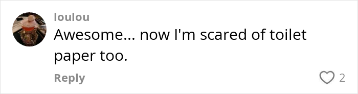 User comment expressing fear about toilet paper danger after a viral public bathroom video revealing risks. User comment expressing fear about toilet paper danger after a viral public bathroom video revealing risks.