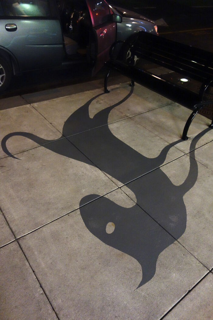 Shadow art installation on sidewalk creatively using bench legs to form a large, abstract creature silhouette at night.