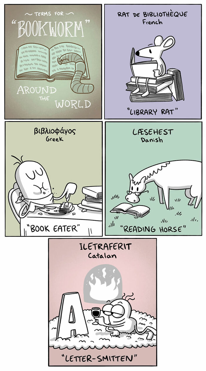 Comic illustrating different country terms for bookworm in French, Greek, Danish, and Catalan with humorous drawings.