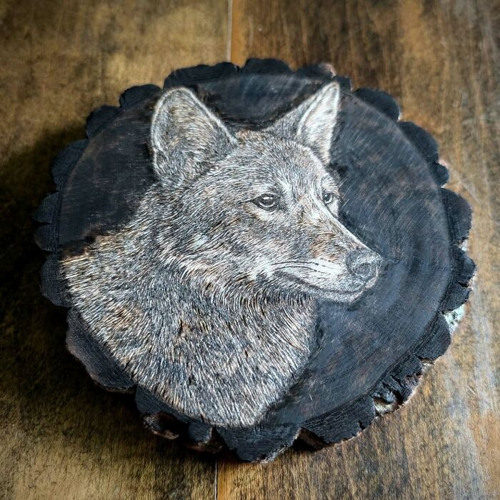 Wood-burned artwork of a detailed wolf head on wood slice created by Canadian artist Kat Slota using fire techniques.