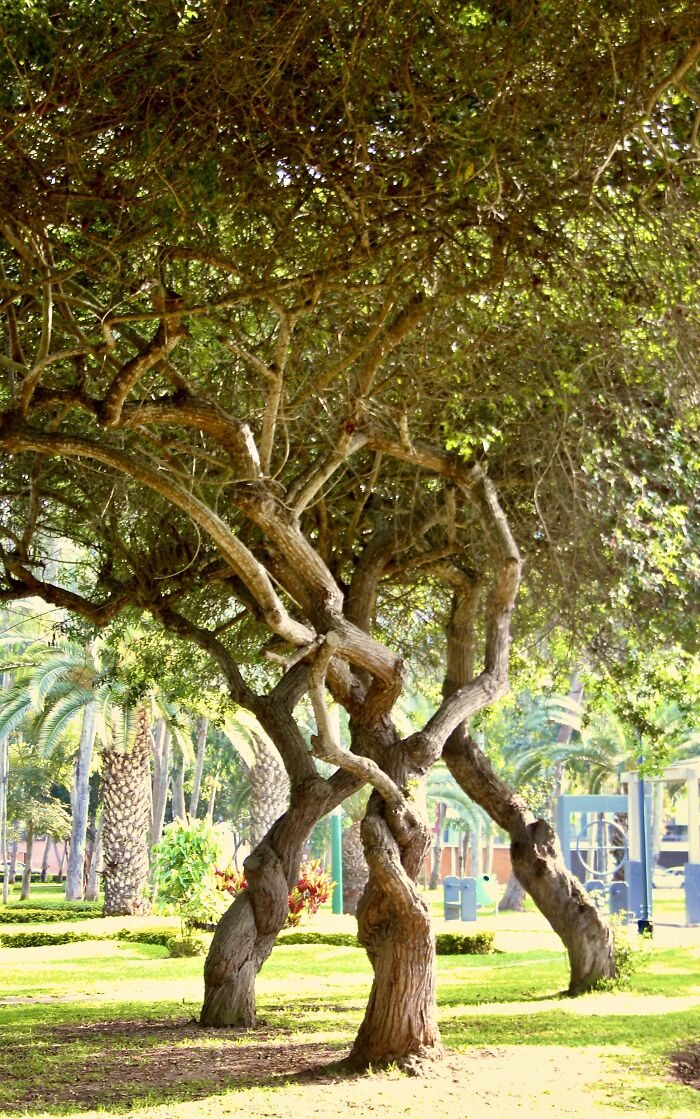 I Visited San Borja Sur Park In Lima, Peru With My Sisters, And Here Are The Highlights From Our Trip