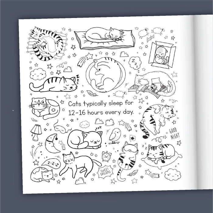 Cat Lovers Unite: We Created A Purr-Fect Cat Coloring Book Cat Lovers Unite: We Created A Purr-Fect Cat Coloring Book