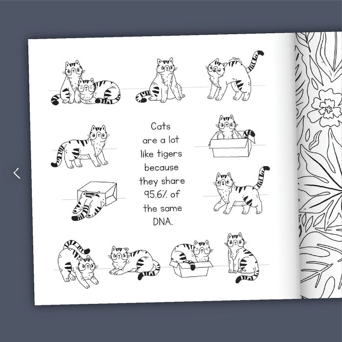 Cat Lovers Unite: We Created A Purr-Fect Cat Coloring Book Cat Lovers Unite: We Created A Purr-Fect Cat Coloring Book