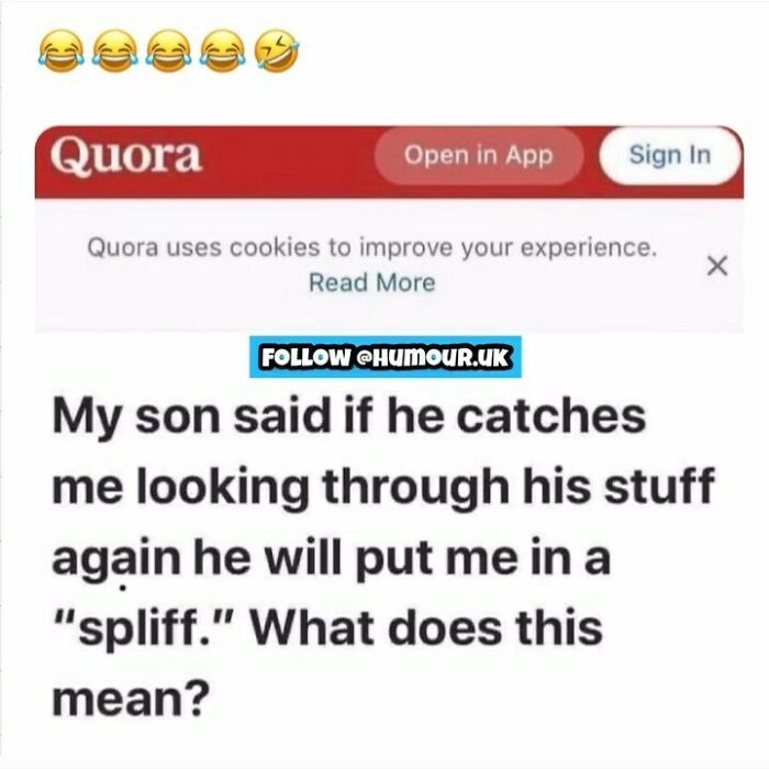 Screenshot of a British meme from Quora about a son threatening to put his parent in a spliff, showcasing unapologetically British humor.