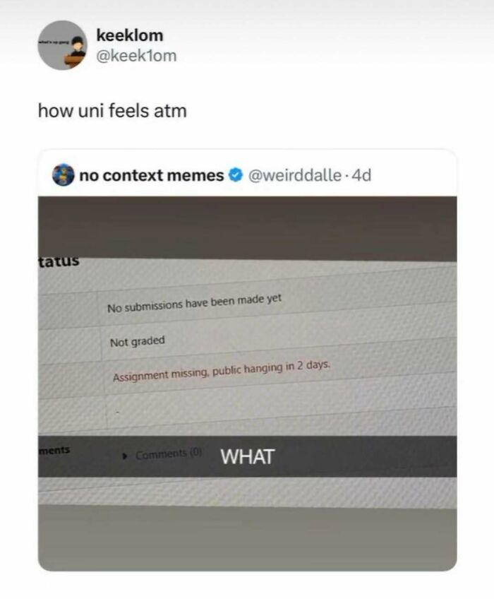 Screenshot of a British meme showing a university assignment missing with an urgent warning about public hanging in two days.