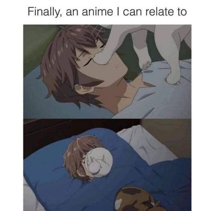 Anime character being playfully covered in the face by goofy cats, showing typical goofy cat behavior and closeness. Anime character being playfully covered in the face by goofy cats, showing typical goofy cat behavior and closeness.