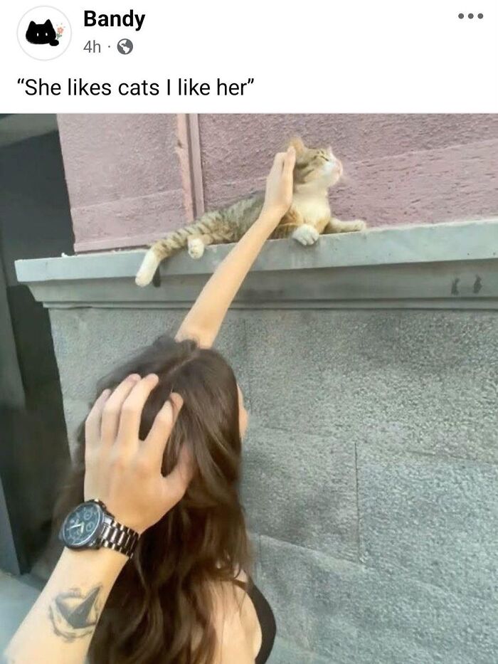 Woman petting a relaxed cat on a ledge, showing the goofy charm of cats completely unaware of their cuteness. Woman petting a relaxed cat on a ledge, showing the goofy charm of cats completely unaware of their cuteness.
