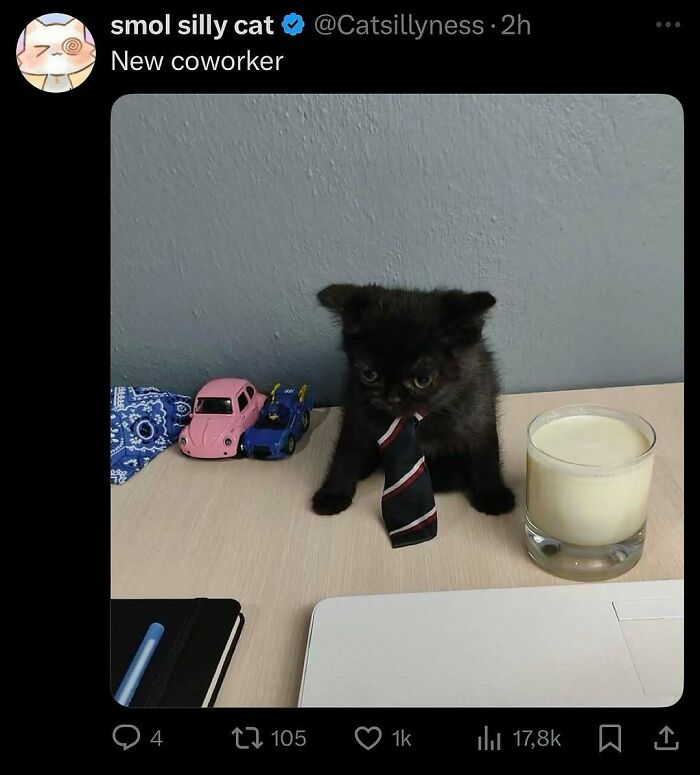 Black kitten wearing a tie sitting on desk with toy cars and a glass of milk, showcasing goofy cat behavior. Black kitten wearing a tie sitting on desk with toy cars and a glass of milk, showcasing goofy cat behavior.