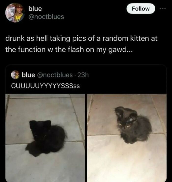 Two photos of a small black kitten on tiled floor, highlighting cats that are completely unaware of how goofy they are. Two photos of a small black kitten on tiled floor, highlighting cats that are completely unaware of how goofy they are.