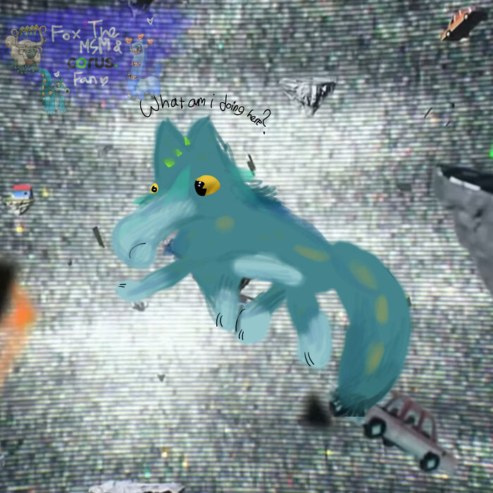 Sox On The Wrong Dimension?