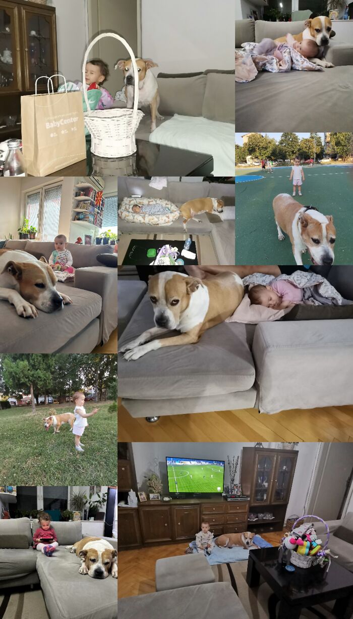 Everything I Know About Love, I Learned From My Dog (35 Pics) Everything I Know About Love, I Learned From My Dog (35 Pics)