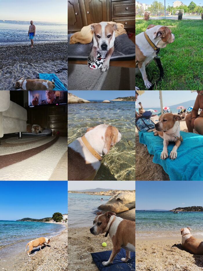 Everything I Know About Love, I Learned From My Dog (35 Pics) Everything I Know About Love, I Learned From My Dog (35 Pics)