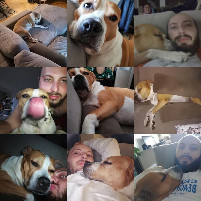 Everything I Know About Love, I Learned From My Dog (35 Pics) Everything I Know About Love, I Learned From My Dog (35 Pics)